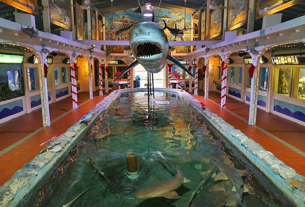 Key West Aquarium Featured Image
